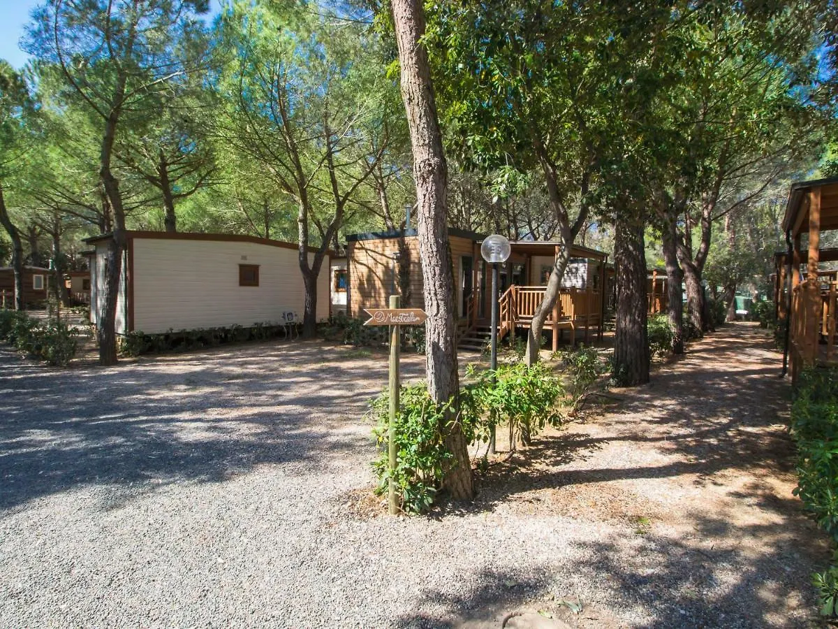 Holiday Home Gineprino-10 By Interhome Marina Di Bibbona Italy